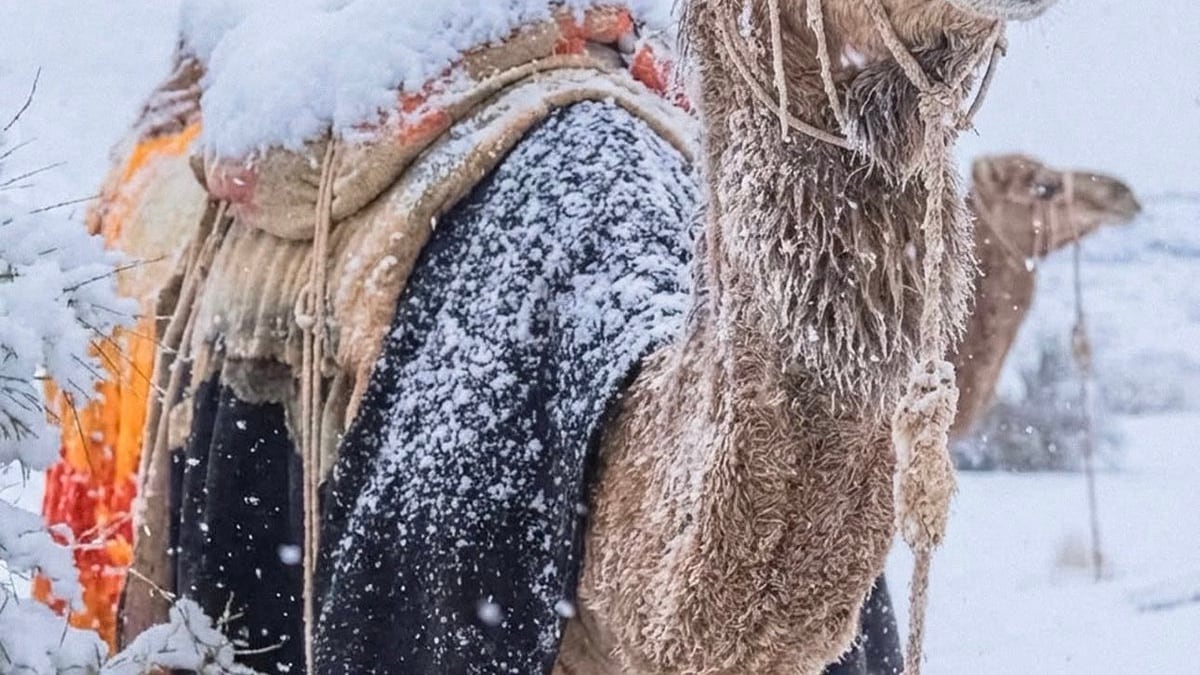 (Foto: Redes sociales)