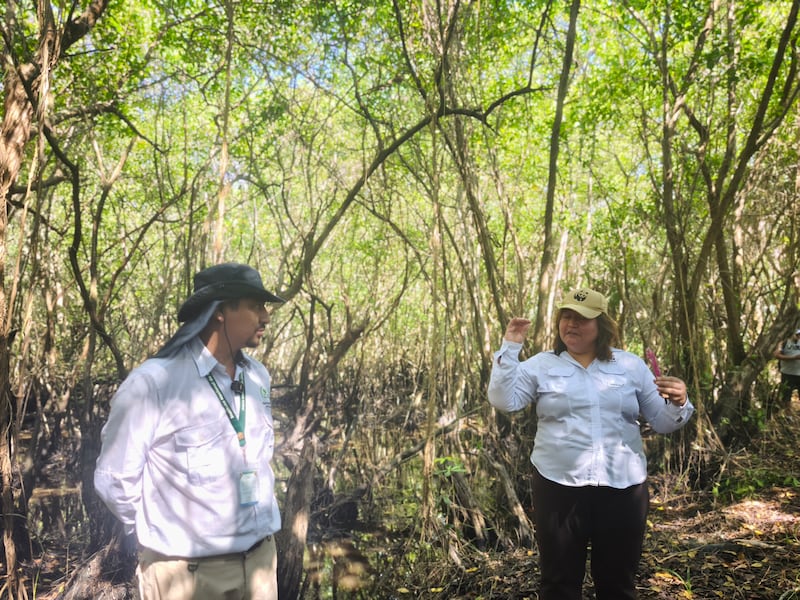 Genoveva Martínez, de WWF, y César Zacarías, del Inab, en el bosque manglar de Iztapa. Foto: Kenneth Monzón