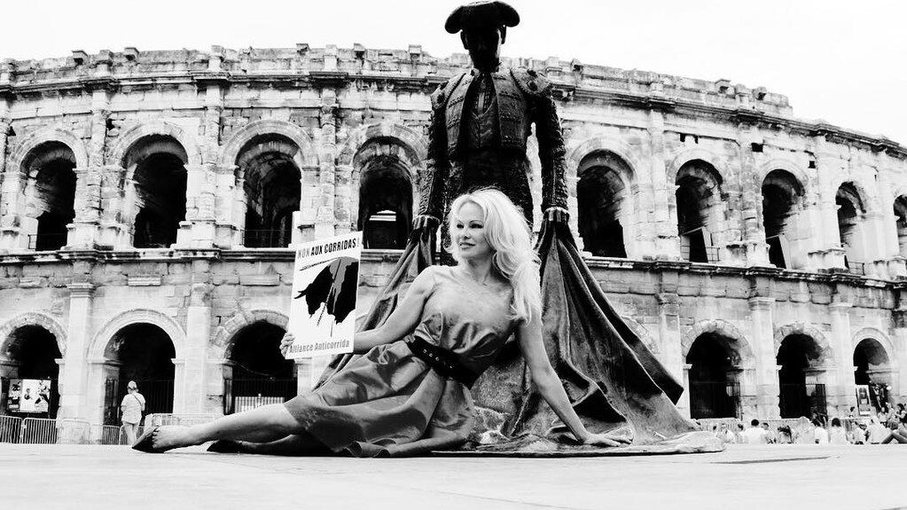 Pamela Anderson es una actriz, modelo, escritora y activista que se convirtió en un ícono cultural durante los noventa gracias a su papel protagónico en la serie Baywatch. Foto: Freepik (Guardphil).