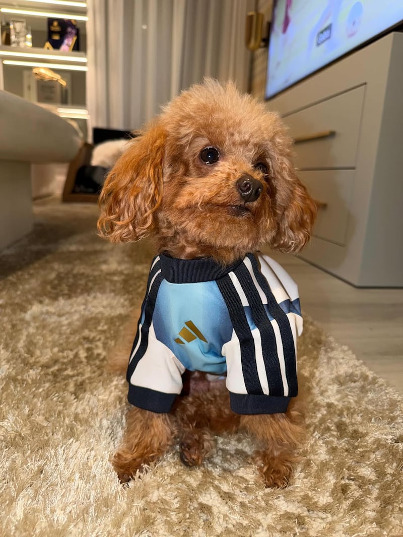 Abú, la perrita de Antonela Roccuzzo