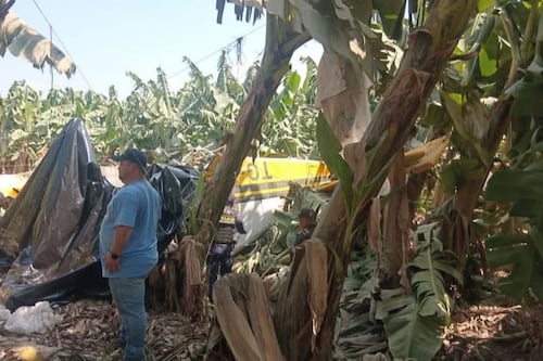 Desplome de avioneta en Escuintla: fallece el piloto Luis Jurado