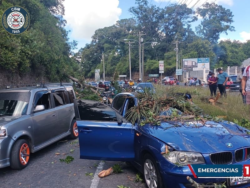 Reportan varios incidentes en la carretera; árbol cae sobre vehículo