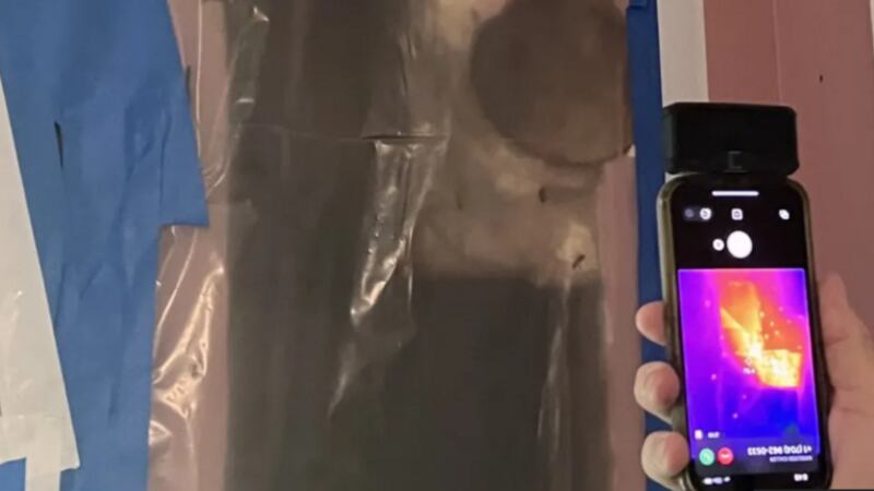 Niña escuchaba ruidos de un monstruo en la pared y