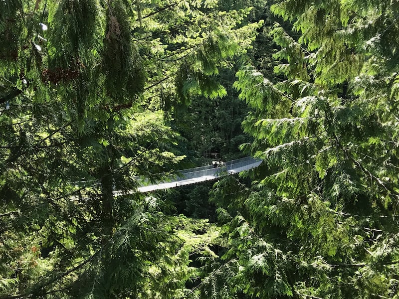 Rodeada de montañas, bosques y el Océano Pacífico, esta ciudad combina naturaleza, cultura y vida urbana como pocas ciudades en el mundo. Foto: Said Pulido.