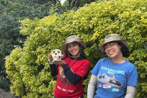 Convocatoria abierta: así puedes ser voluntario en Zoológico La Aurora este 2026