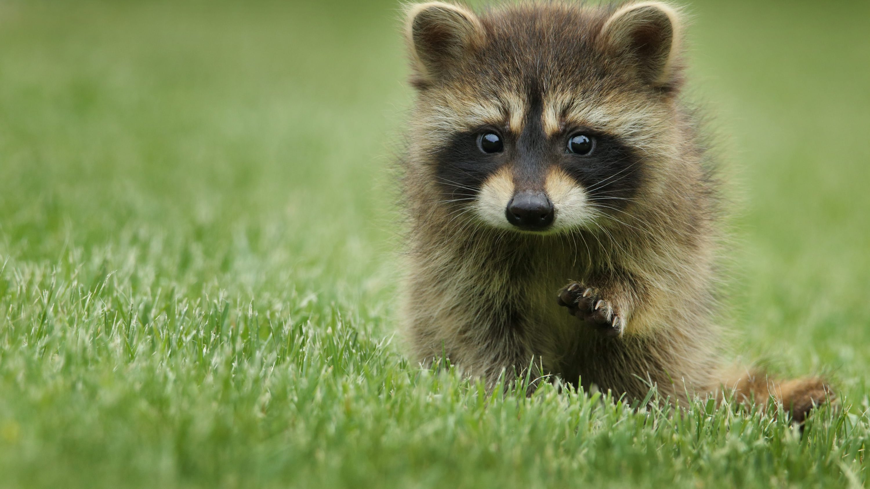 (Foto: Redes sociales)