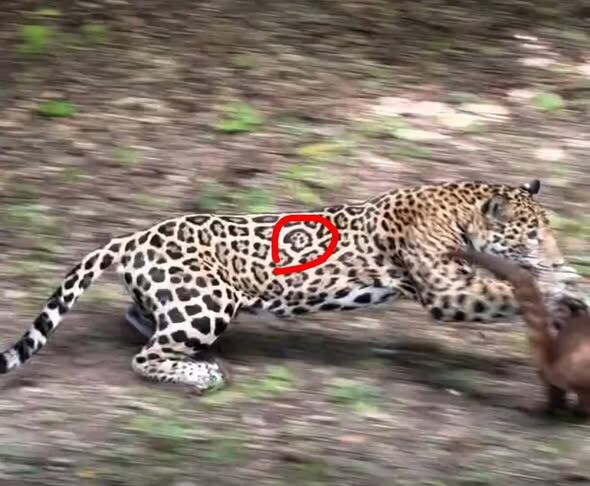 Facebook/Esdras García