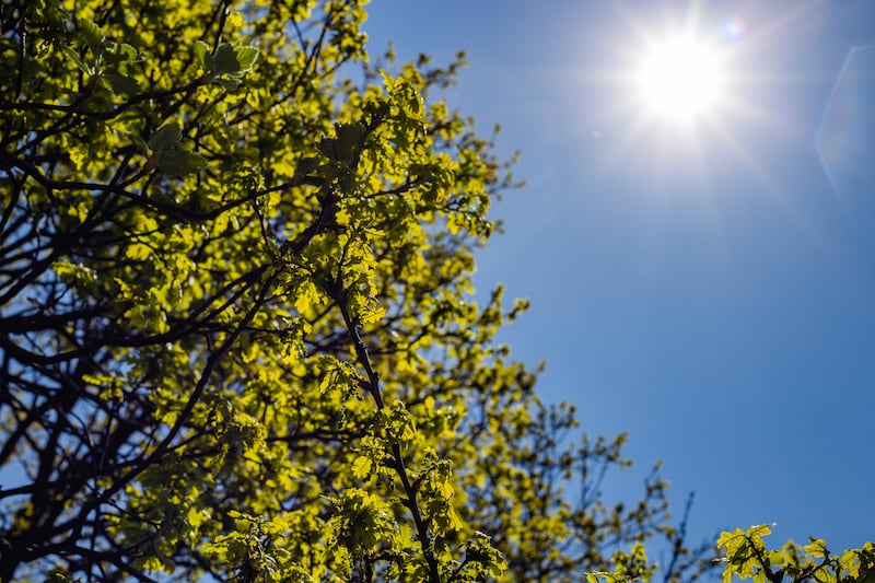 Tomar el sol tiene múltiples beneficios para la salud, entre ellos la producción de vitamina D y el refuerzo de nuestro sistema inmune. Foto: Freepik.