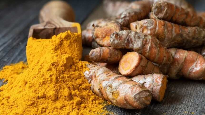 Cúrcuma - reprodução