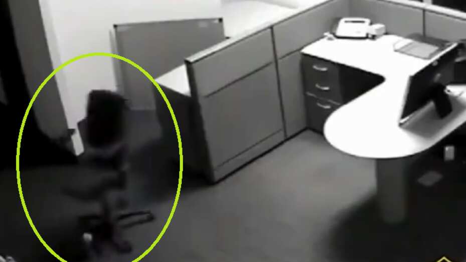 Actividad paranormal