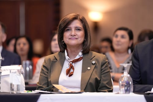 Vicepresidenta insta a la libre participación en los procesos de postulación