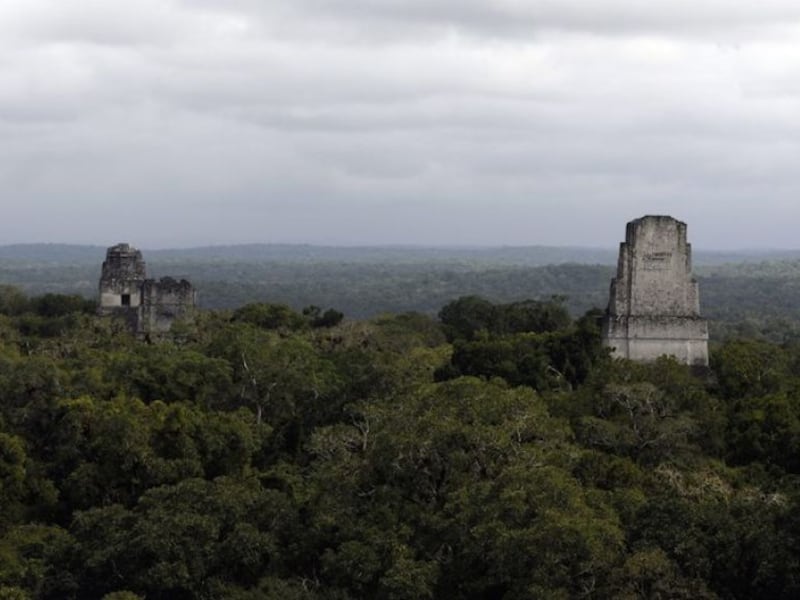 Parque Nacional Tikal reactiva tours amanecer y atardecer