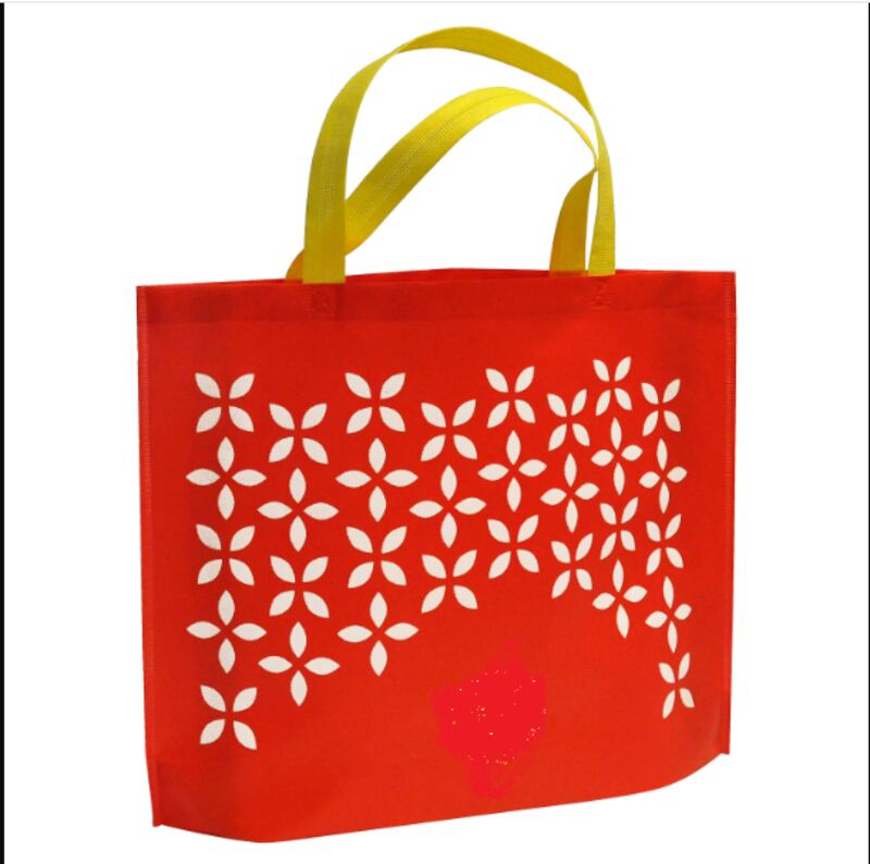 Introdujo a la bebé en una bolsa.