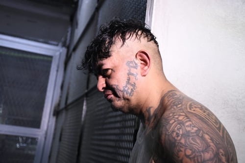 VIDEO. Así fue la captura de alias “Bufón” uno de los cabecillas cercano al “El Lobo” líder del Barrio 18