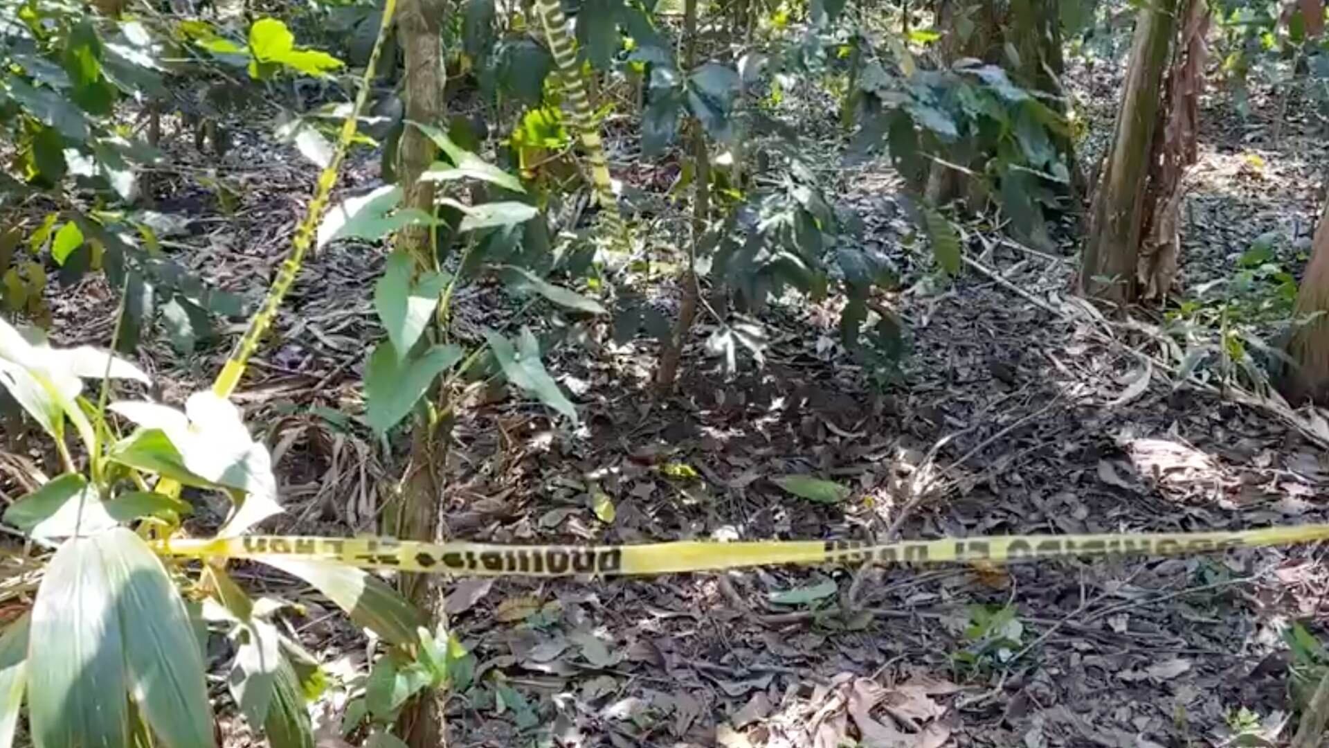 Autoridades encuentran perturbadora y violenta escena en Brasil
