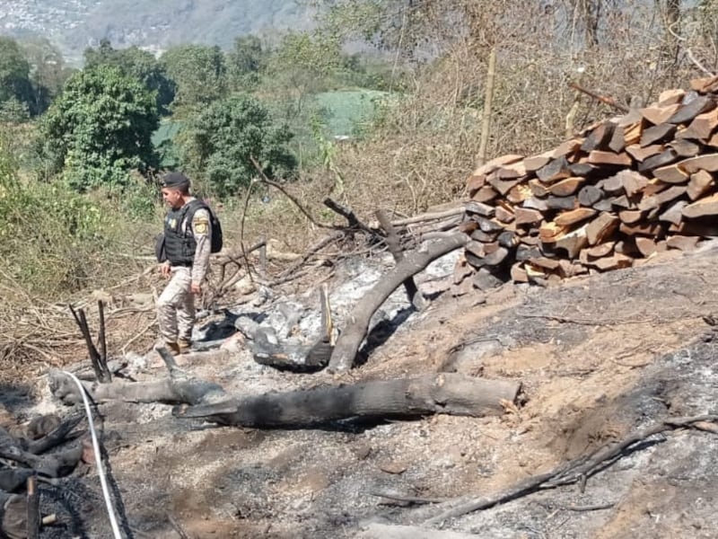 Xela: Capturan a dos hombres cuando incendiaban un bosque para ocultar las talas inmoderadas