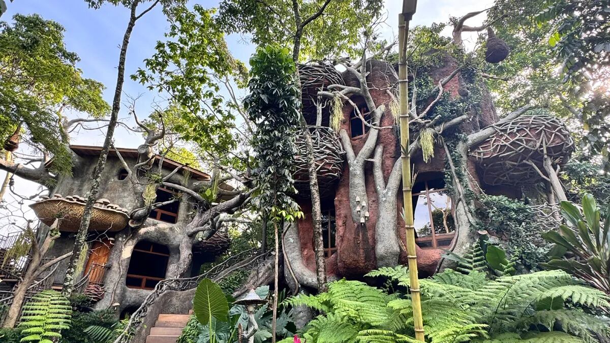 Cada casa en el árbol cuenta con alojamiento para huéspedes que incluye sala de estar, dormitorios y baños. Foto: IAAPA.