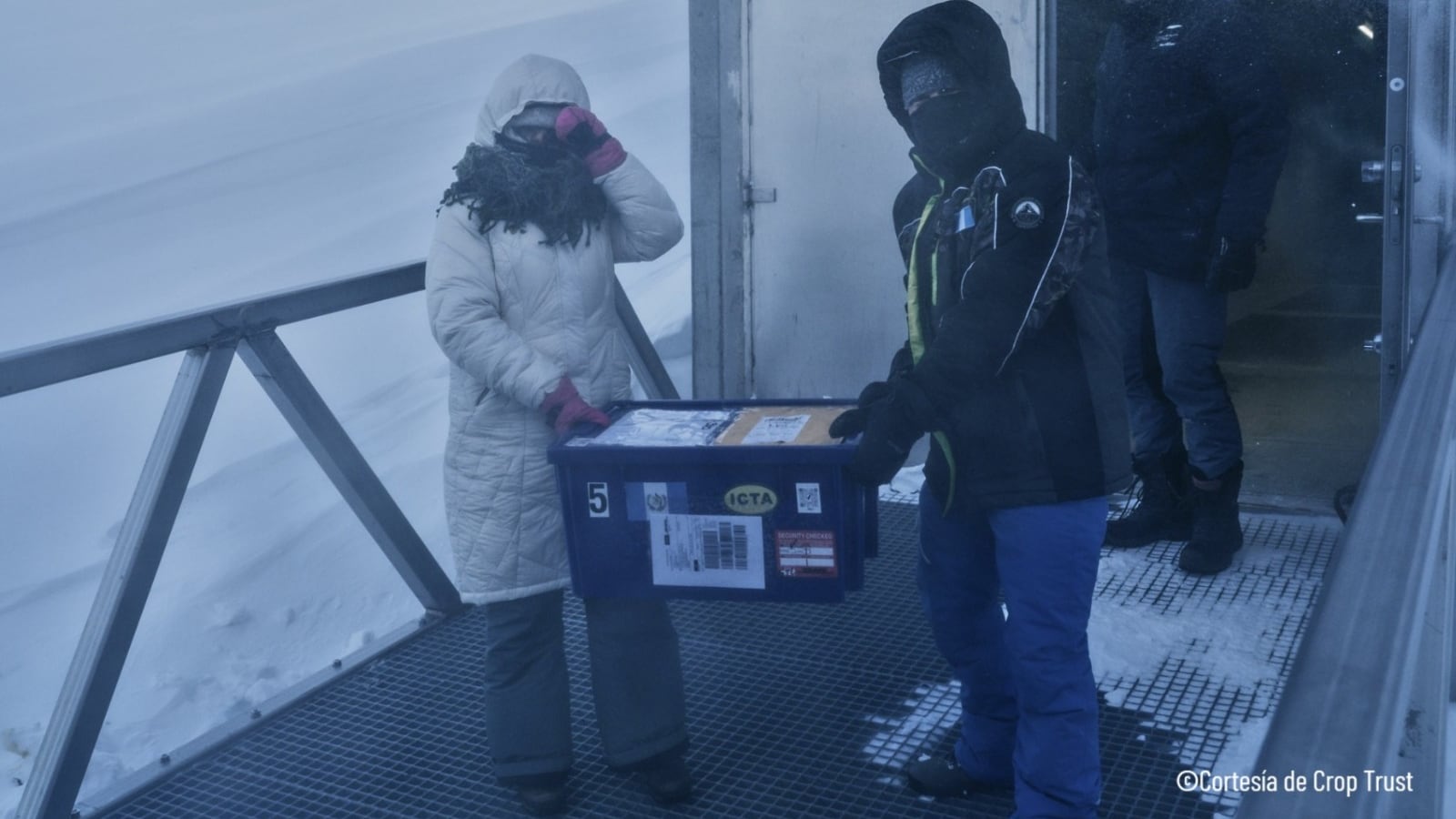 ¡Misión cumplida! Las semillas de Guatemala ya se encuentran resguardadas en la Bóveda Global