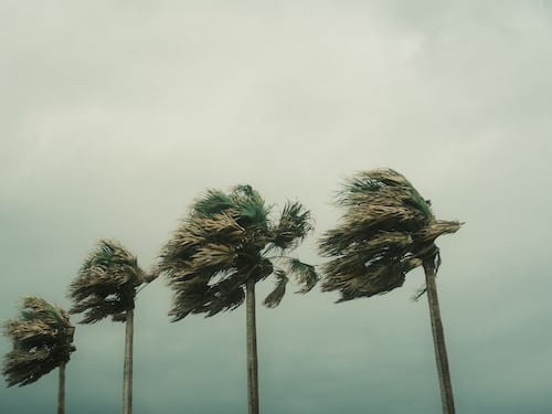 Bomberos Voluntarios emiten recomendaciones por los efectos de la tormenta tropical Cristina