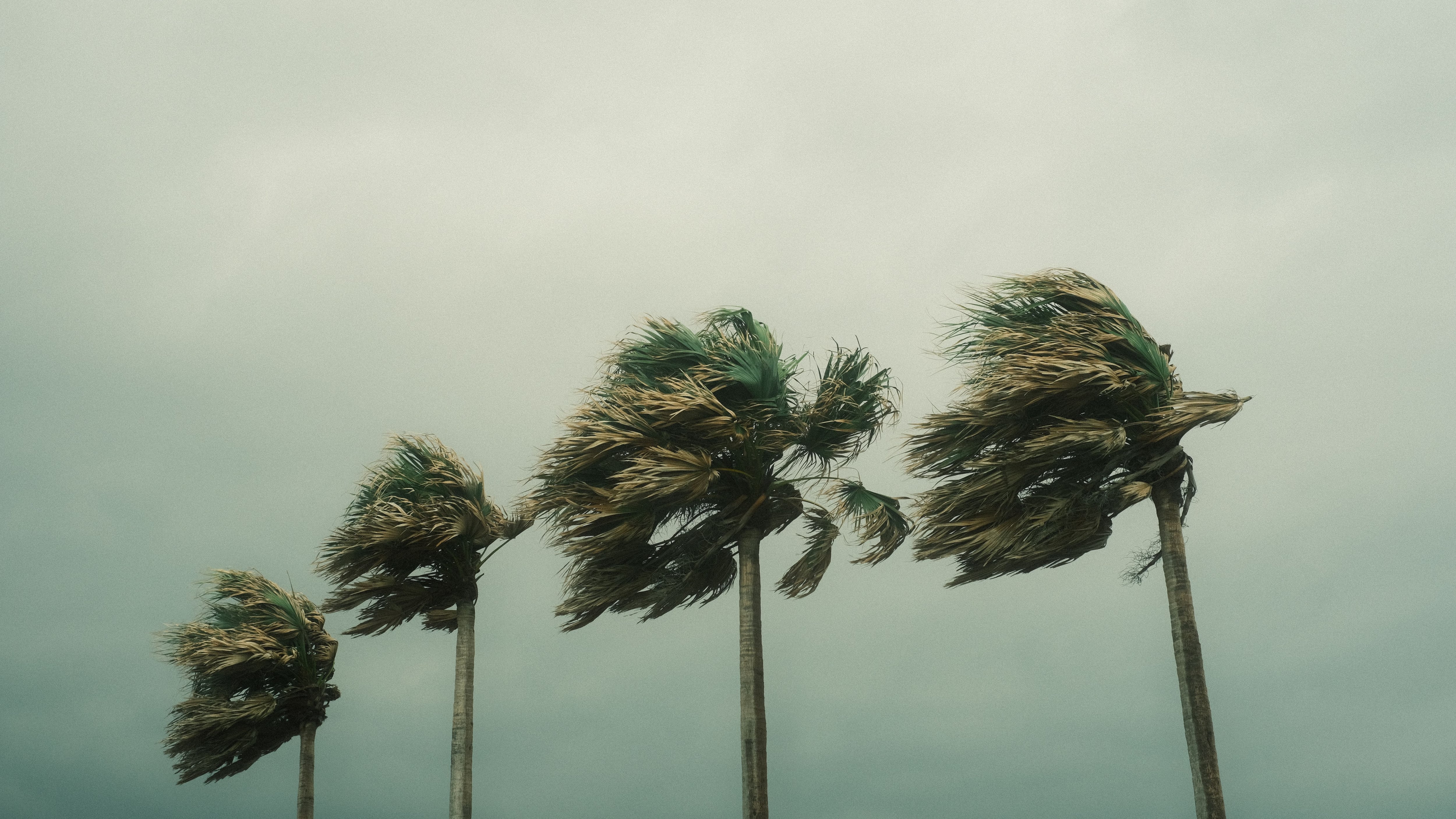 (Foto: Pexels)