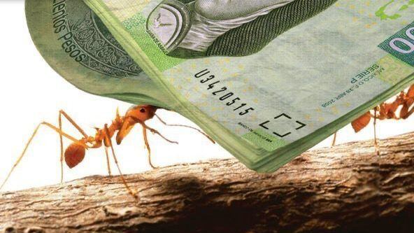 Salud económica: los gastos hormiga que están vaciando tu billetera