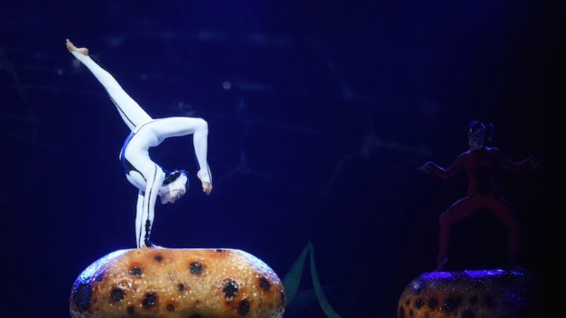 Elenco del Cirque Du Soleil realiza sorpresiva confesión en torno a la comida guatemalteca