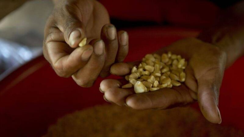 Cámara Guatemalteca de Alimentos y Bebidas garantiza abastecimiento de productos