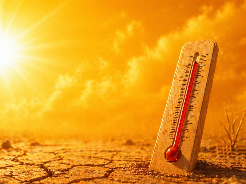 Ante las altas temperaturas ¿Cómo prevenir un golpe de calor?