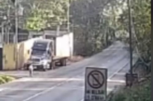 Video. Cámara graba atropello de mujer en ruta al Atlántico, Izabal