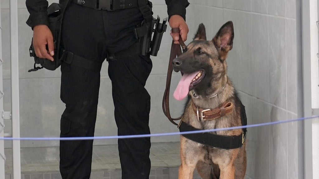 Unidades K-9. Foto: Embajada de EE. UU.