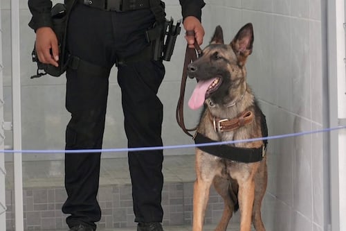 Unidades K9 de la PNC estrenan instalaciones con apoyo de Estados Unidos