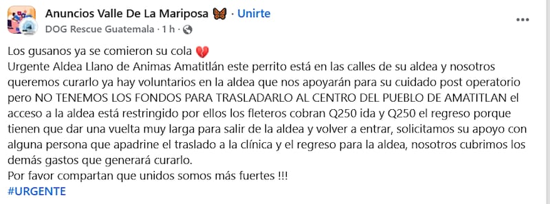 Comunidad en Amatitlán solicita apoyo para auxiliar a perrito