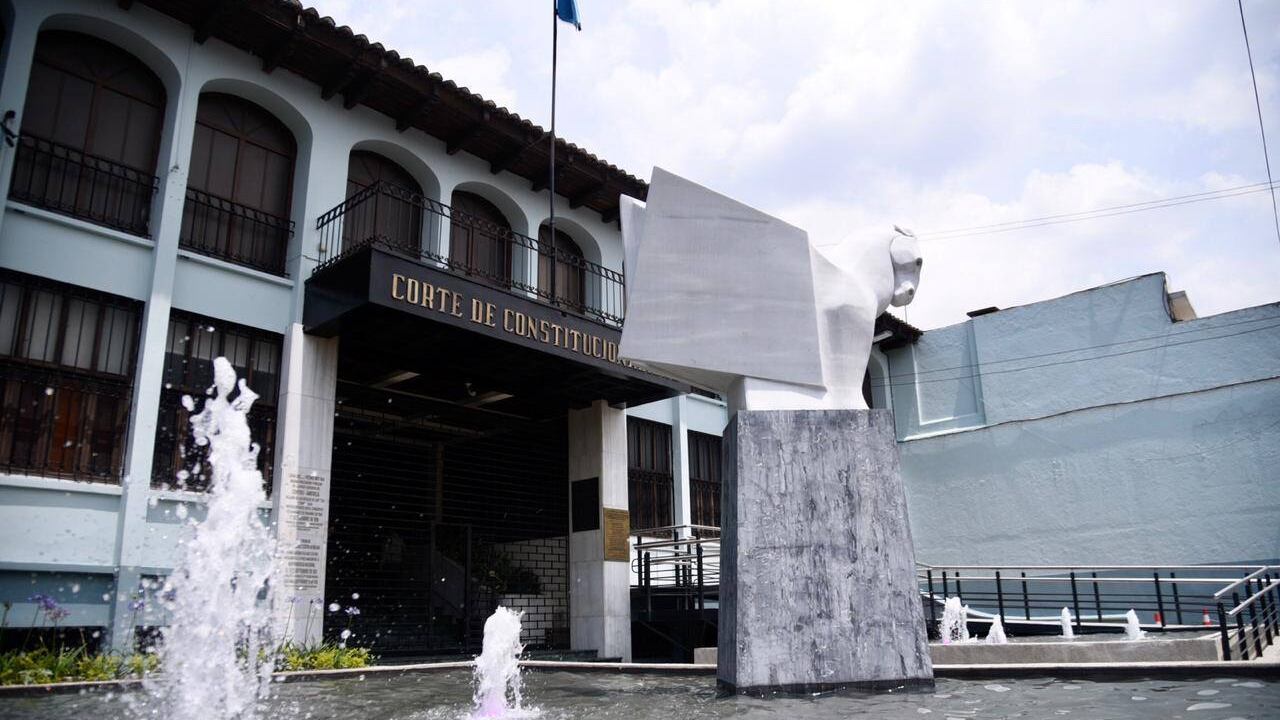 La CC resolvió que los 23 diputados de Semilla continuarán como independientes. Foto Publinews