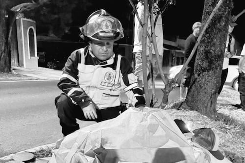 Wilton David Pérez, el motorista que falleció en Noche Buena por un accidente de tránsito en San Cristóbal