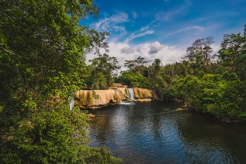 Conoce el top 5 de las áreas protegidas