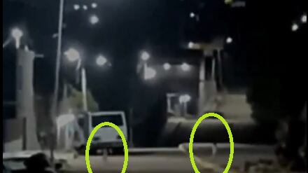 Captan a extraños seres en México, ¿son duendes o extraterrestres?