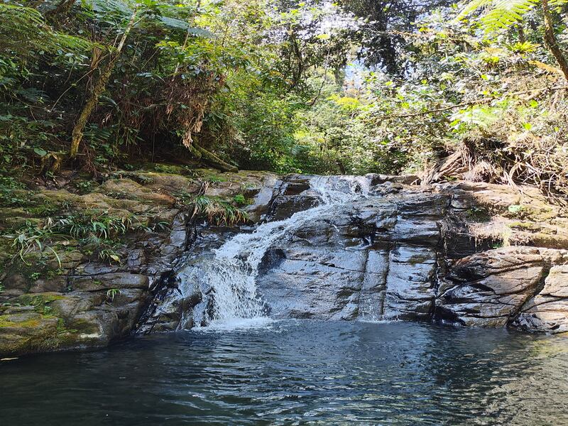Ranchitos del Quetzal, una reserva natural privada ubicada en Purulhá, Baja Verapaz. Foto: Conap
