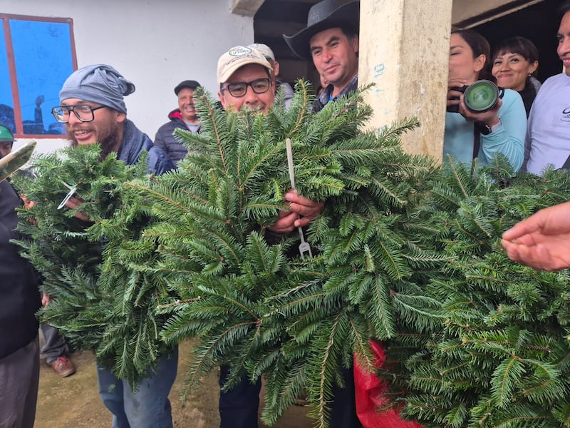 Ramillas marcadas con el marchamo, es la garantía de un producto legal y sostenible.