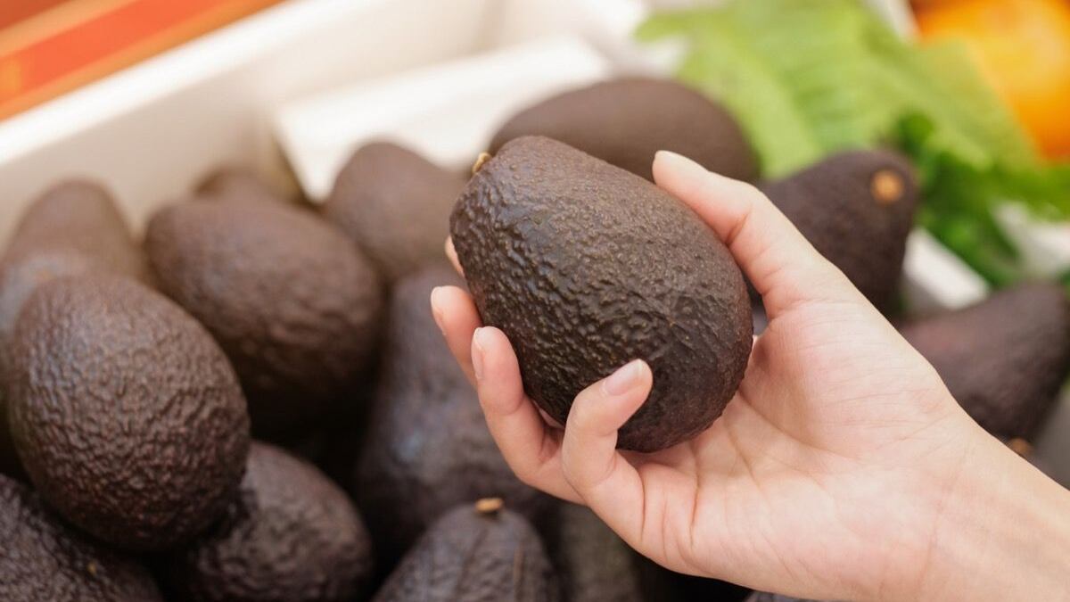 Estos son algunos de los beneficios de consumir aguacate