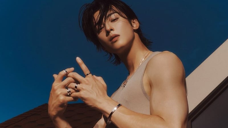 CHA EUN-WOO