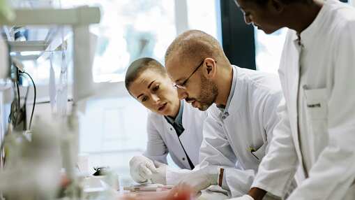 Científicos se desconciertan por células recién descubiertas que se alimentan de “grandes virus”.