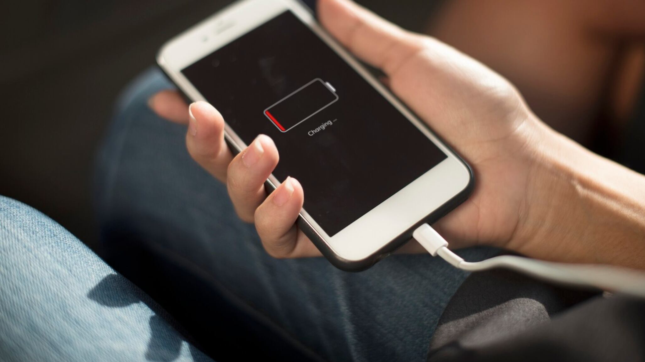 Los microondas consumen más electricidad con sus pantallas digitales