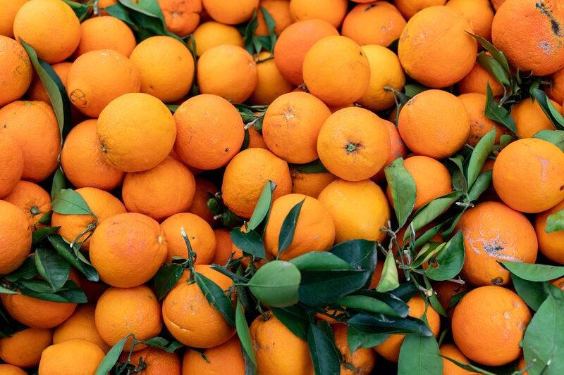 La naranja es buena para el estreñimiento y ayuda a combatir la anemia, entre otros beneficios para la salud que ofrece una de las frutas más consumidas en el mundo. Foto: Freepik.