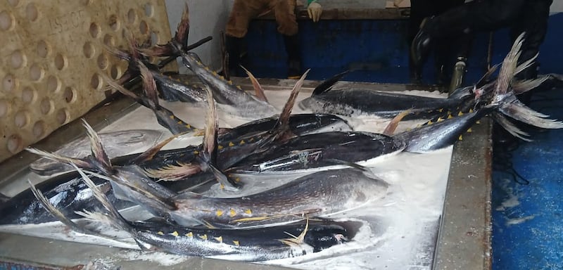 Atún.
