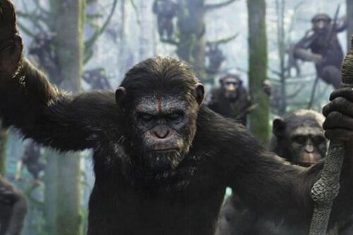 Planet of the Apes: Así es la cronología completa de la historia que debutó en cines en los años 60