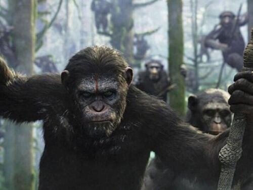 Planet of the Apes: Así es la cronología completa de la historia que debutó en cines en los años 60