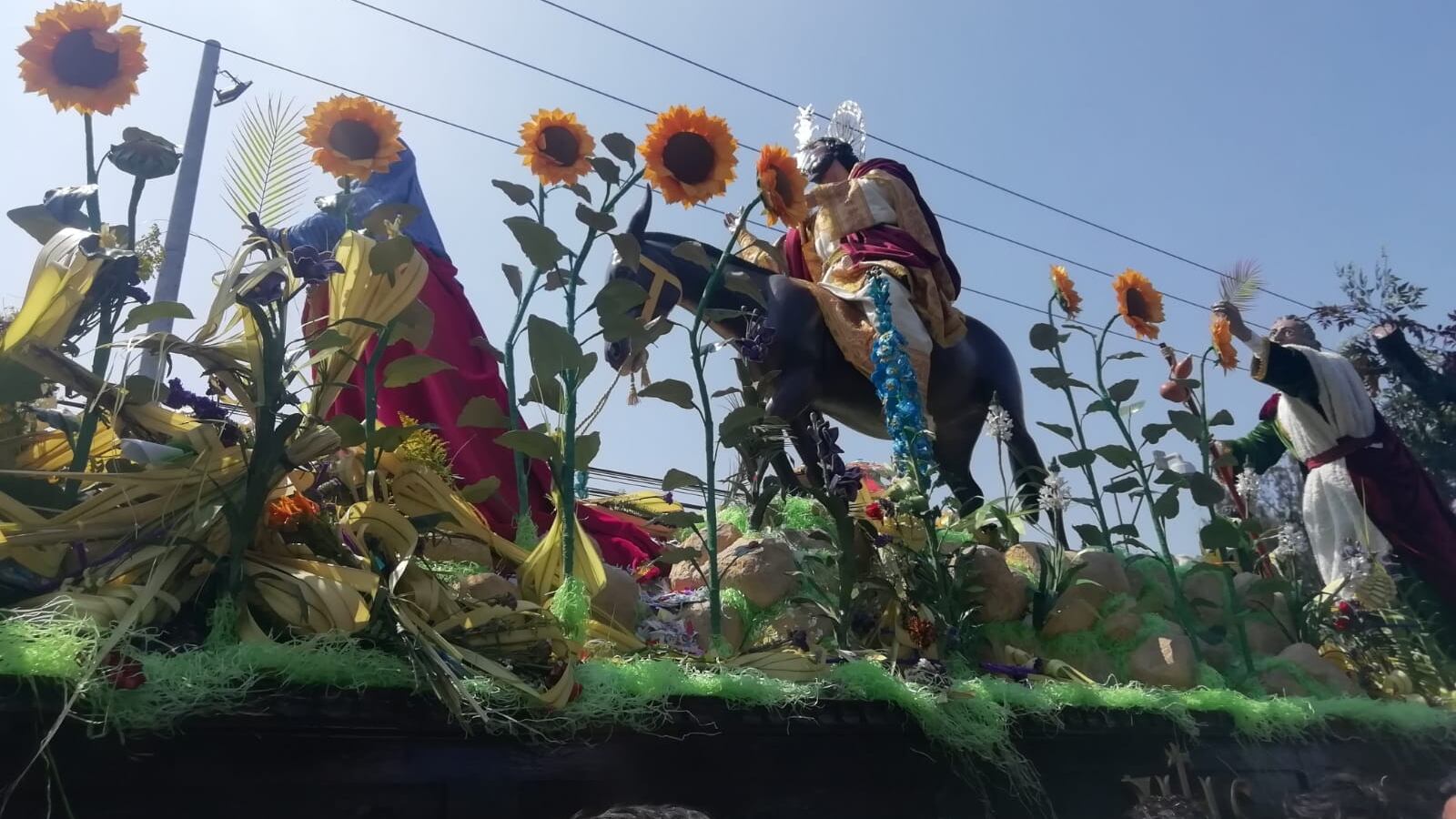 EN IMÁGENES. La procesión de Jesús Nazareno de las Palmas