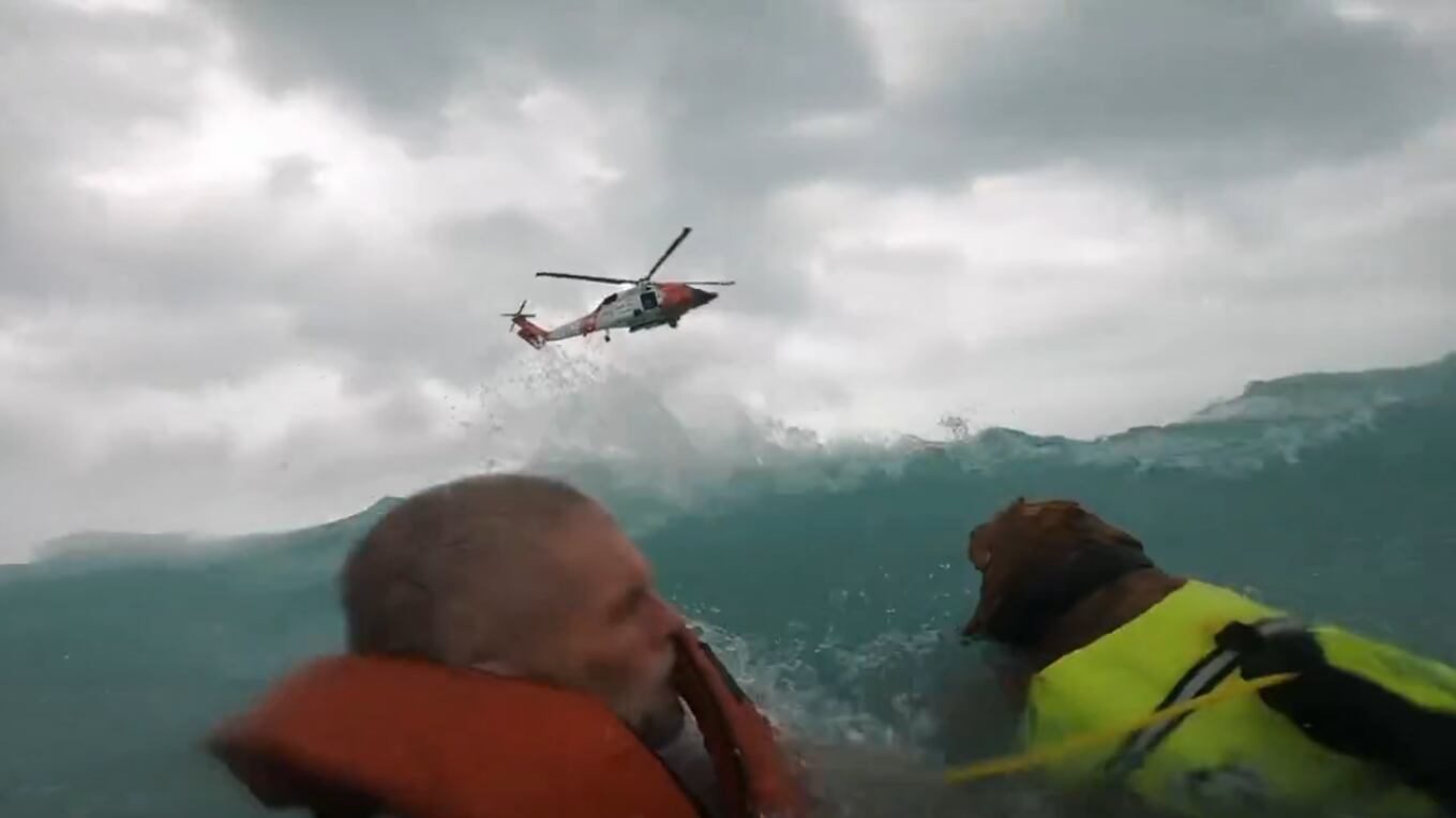 Salvavn a perrito y a su dueño.