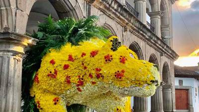 Festival de Flores en Antigua Guatemala espera a 400 mil visitantes