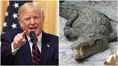Trump niega haber pedido poner cocodrilos en la frontera para detener a migrantes
